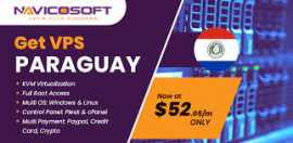 Finding Affordable Solution in Paraguay|Navicosoft, Los Angeles