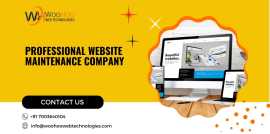 Professional Website Maintenance  Company, Kolkata
