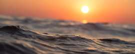 Experience the Beauty of the Caribbean, San Diego