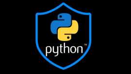 WebAsha Python Training Institute, Pune