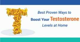 Book Testosterone Profile Test From Manipal TRUtes, Indore