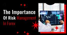 The Importance Of Risk Management In Forex, Port Louis