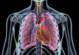 Method to Enhance Lungs Capacity, Jaipur