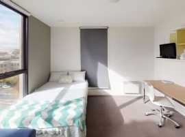 Student Housing in San Francisco: A Guide to Findi, New York