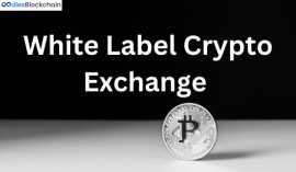 White label Crypto Exchange | Oodles Blockchain, Sheridan