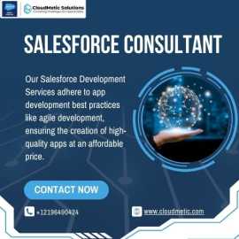 Salesforce Consultant, New Rochelle