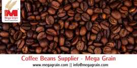 Your Premier Coffee Beans Supplier, Rp 1