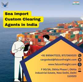 Sea Import Custom Clearing Agents in India: Falcon, Delhi