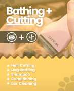 Best Dog Grooming at Home in Ghaziabad, Ghaziabad
