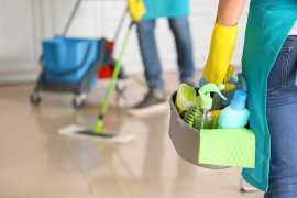 Dust-Free Delight with Professional Home Cleaning , Roanoke