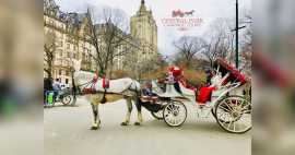 Romantic Escapes: Horse Carriage Rides in Central , New City