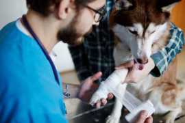 Explore The Grooming Room: Grooms by Jenny , Chicago