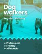 Book Best Dog Walking Service In  Mumbai at Afford, Mumbai
