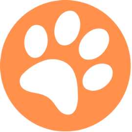 Find Pet Grooming in Chicago, Chicago