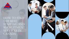 How to Find the Best Staffing and Recruitment Serv, Mississauga