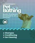 Best Dog Grooming Service at Home in Chandigarh, Chandigarh