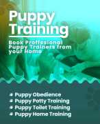 Expert Puppy Potty Training in Lucknow, Lucknow