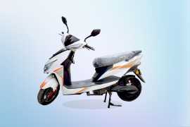 Best Electric Scooter in 2024