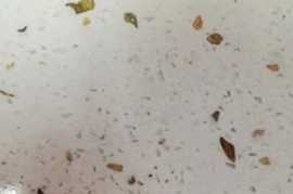 Quartz Stone: Enjoy the Allure of Sparkling , Clayton North