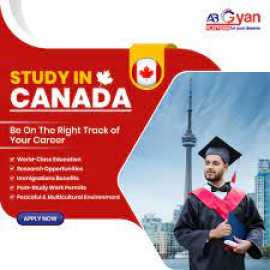 Best Study in Canada, Noida