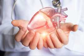 Quality Heart Treatment Services in Jaipur, Jaipur