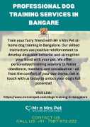 Professional Dog Training Services in Bangalore, Bengaluru
