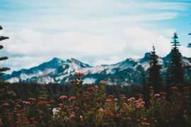 Get caring support through divorce with Edh Wellne, California City
