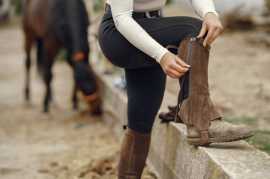 Training Young Horse | Equitopia Center, Thornton