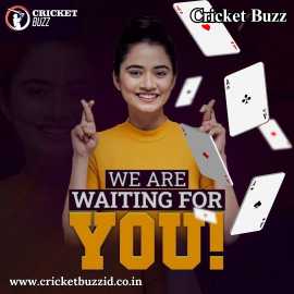  Cricket Buzz Enhances Your Betting Experience by , Delhi