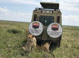 Booking Tanzania safari 4 day migration trips     