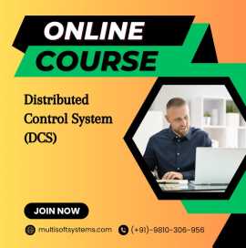 Distributed Control System ( DCS ) Training, Noida