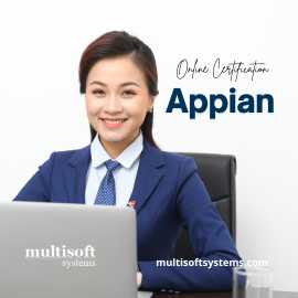 Appian Training Online Certification Course, Noida