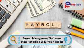 Why You Need Payroll Software & How It Works!, Mississauga