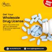 Start Your Wholesale Drug Business with Agile Regu, Noida