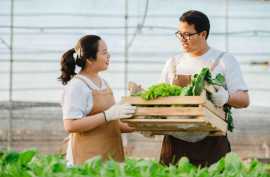 Choosing Right Crops for Hydroponics Contract Farm, Hyderabad