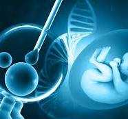Trusted IVF Center for Your Parenthood Dreams, Bargarh