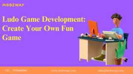 Ludo Game Development: Create Your Own Fun Game, New York