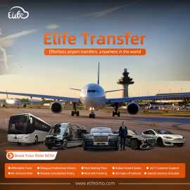 Book Your Las Vegas Airport Ride – Competitive Rat, Las Vegas