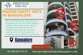 Pigeon Safety Nets In Bangalore, Bengaluru