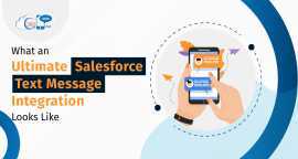 Salesforce Message 360 SMS APP, Los Angeles