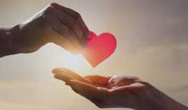 How to Set Up a Charity: Simple Steps for Starting, Calgary