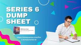 DumpsArena Step-by-Step Series 6 Dump Sheet, New York