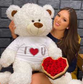 Soft & Lovable White Teddy Bear | Giant Teddy, ps 70
