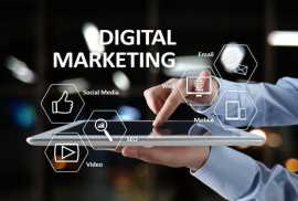 Boost Your Business with digital marketing dallas, Seattle