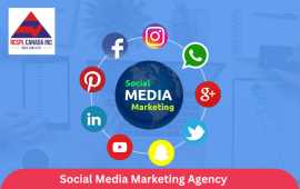 Professional Social Media Marketing Agency in Toro, Mississauga