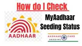 Lock or Unlock Aadhaar Biometrics with myaadhaar, New Delhi