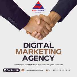 Boost Your Business with Expert Digital Marketing , Mississauga