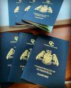 The Elite Passport - Start Your Investment in Dual, Beirut