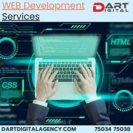 Affordable Web Development Services, Delhi