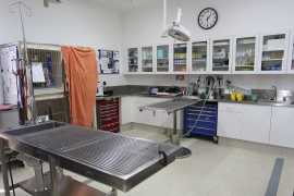 Kirrawee Veterinary Hospital, Kirrawee